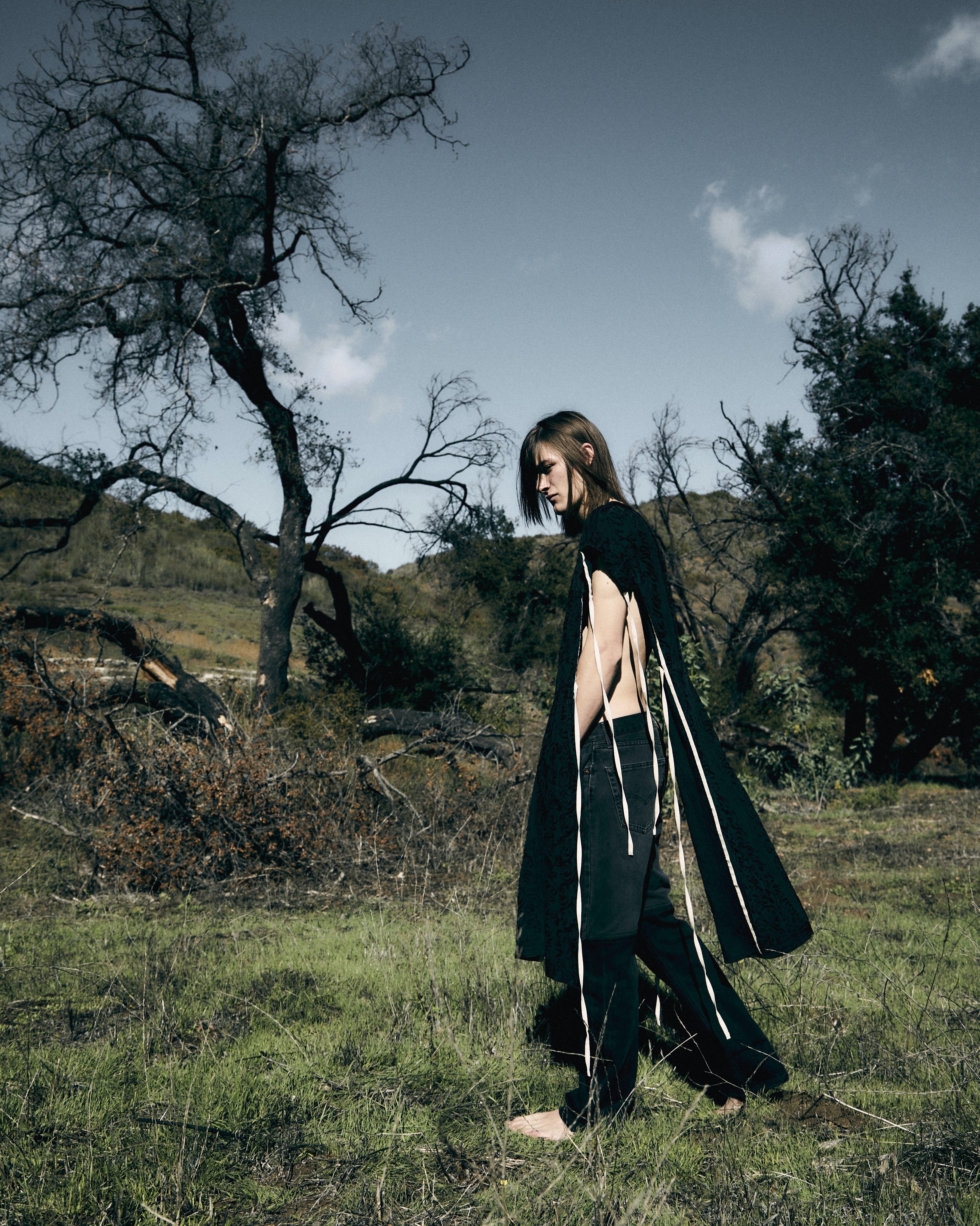 MAXWELL (california)