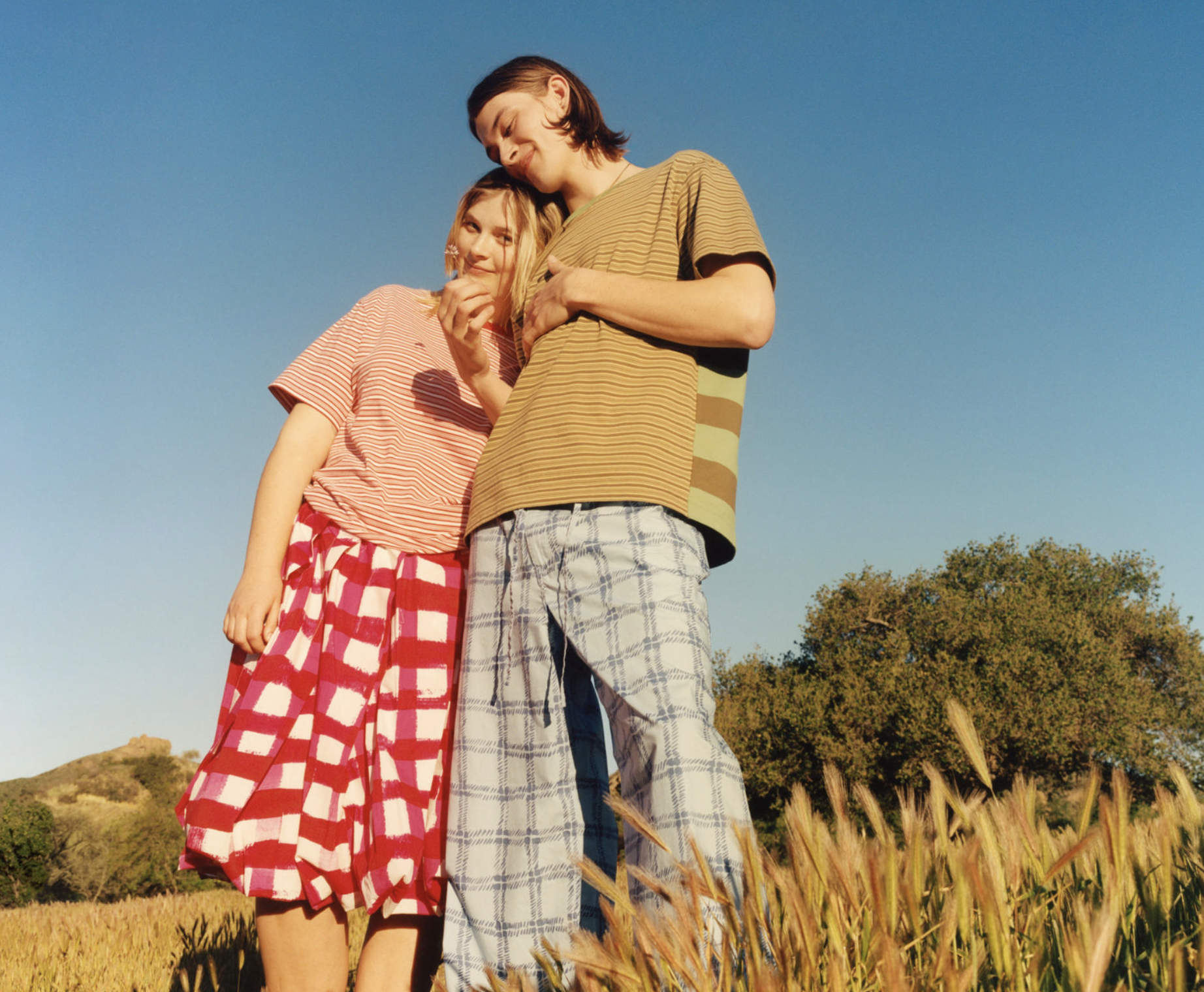 MAXWELL (california)